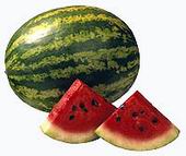 watermelon